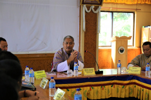 Photo of DYS Director General leading the discussion